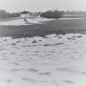 schnee, karge Landschaft